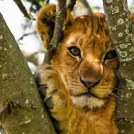 E4 Letna Rum i privatbostad Prag