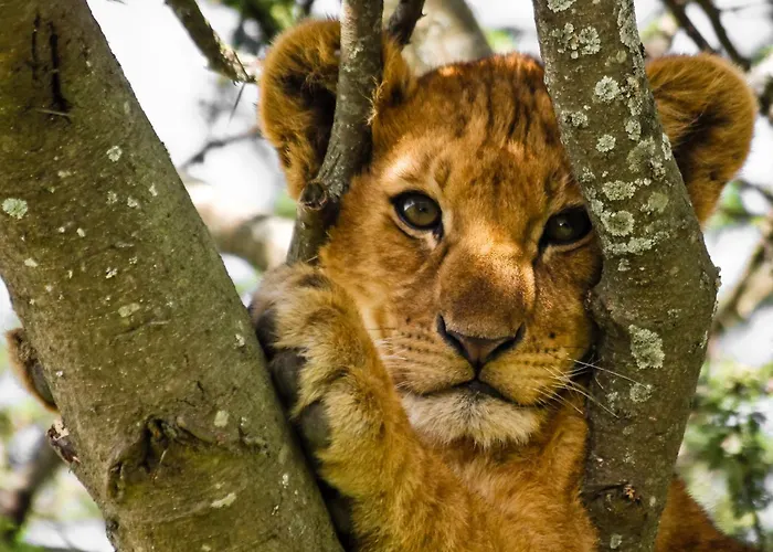 E4 Letna Privat bolig Prag