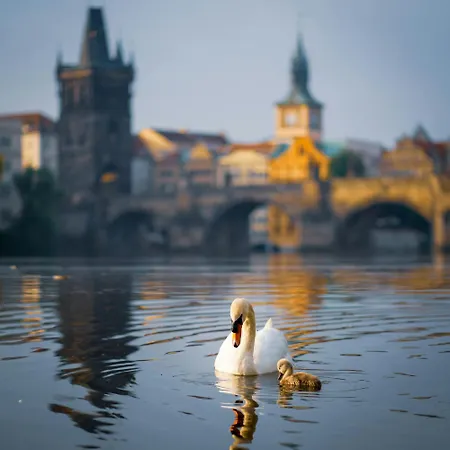 Séjour chez l'habitant E4 Letna Prague